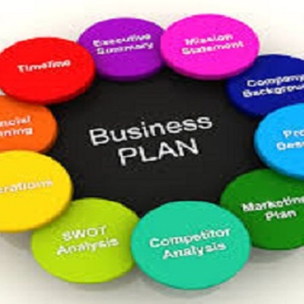 93139I will develop perfect business  plan with five years financial projection